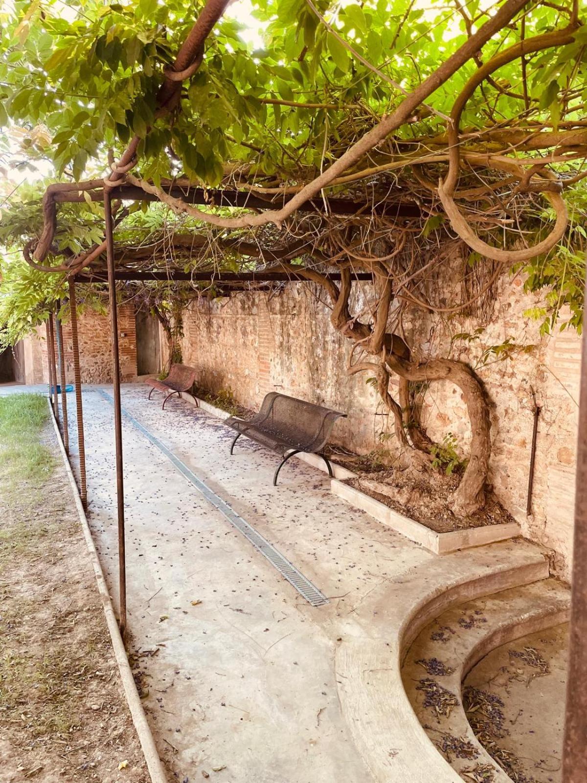 Gite De Charme Du Domaine Pagnon Guillemette Torreilles Dış mekan fotoğraf