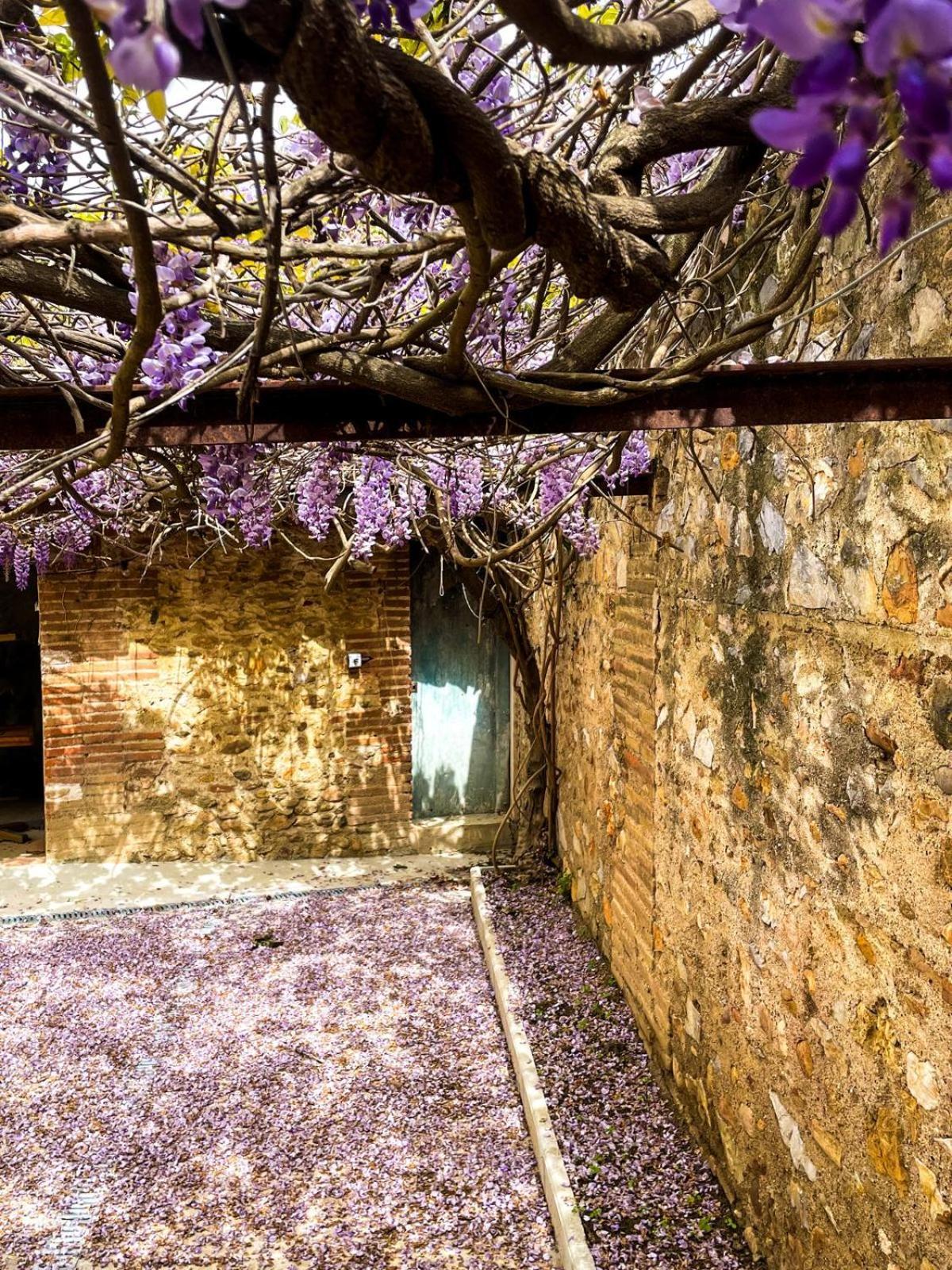 Gite De Charme Du Domaine Pagnon Guillemette Torreilles Dış mekan fotoğraf
